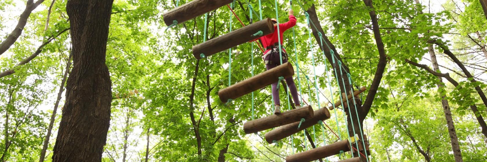 Parc d'aventures Jungle Parc
